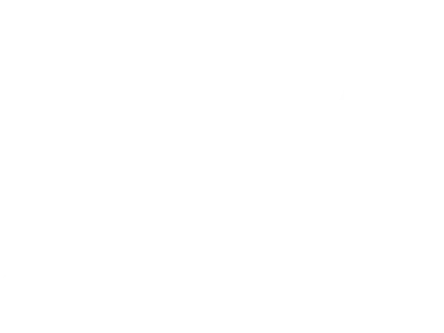NSZ